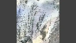 parasite
