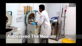 Production of Biobutanol