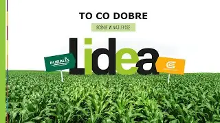 LIDEA. Nowa marka z dobrych źr&oacute;deł!