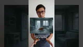 Чего боятся клопы? Народные средства от постельных клопов в квартире!