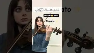 Staccato 🆚 Tenuto #violinist #classicalmusic #shorts #practice #musician #strings #musicteacher