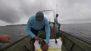Flounder pounder 2023 Delaware