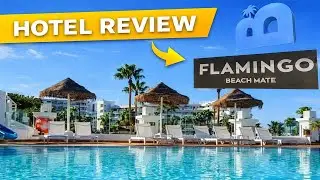 Flamingo BeachMate Costa Adeje Review
