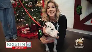 95sx 12 Strays of Christmas
