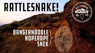 Rattlesnake @ North Valleys Trail, Reno Nevada