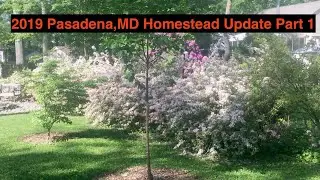 2019 Pasadena MD Homestead Update Part 1