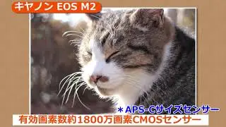 キヤノン EOS M2 (カメラのキタムラ動画_Canon)