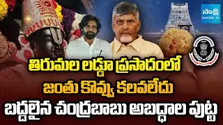 CBI Release Report on TTD Laddu Controversy | CM Chandrababu & Pawan Kalyan | TTD | Sakshi TV