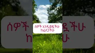ተወዳጅነትን የሚጨምሩ 5 ሚስጥሮች!#mindset#habesha#shorts