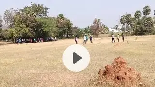 Live cricket match is live!