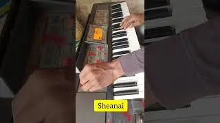 recommend Roland e09in all indian tone testing