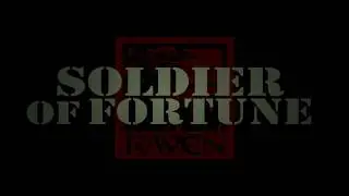 2000's Soldier of Fortune Platinum, Gameplay.
