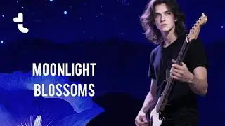 Moonlight Blossoms &ndash; Poetic Pop |  TeenyTale Music Video #softrock