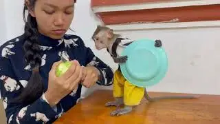Oops..😬 look at Koy actually Vry fun with her plate 