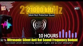 🔊🐀 Ultrasonic Silent Anti Rat Sound 10H &ndash; High Frequency Rodent Audio | Sleep Without Fear All Night