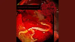 Parasite Expulsion