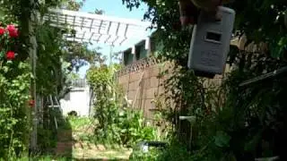 Open bolt mechanical Ion shooting(hot)