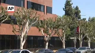 Striking writers and actors feel trimmed tree tensions