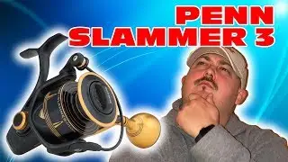 Penn Slammer 3 and Carnage Rod Review