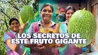 Este fruto Gigante lo usábamos para muchas cosas, hoy se está olvidando