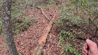 Searching for Coyote Dens (Part 4)
