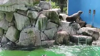 #5 April 2022 at Chiba zoo, Japan