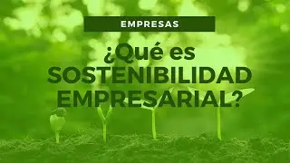 SOSTENIBILIDAD EMPRESARIAL