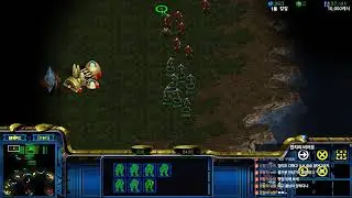 [Live] 스타팀플헌터 myth.argos  starcraft Hunter Teamplay [2026-01-31]
