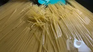 Spaghetti #animalchef #petgourmet #pawsitivemagic #emotionalsupportanimal