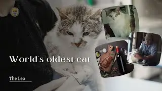 38 years old Great grandmother | Cr&egrave;me Puff - who holds the Guinness World Record