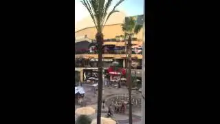 Ditzy Britzy - views of the hollywood sighn