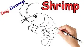 How To Draw Cute Shrimp ||  Drawing, Painting & Coloring For Kids and Toddlers _ 🌈🎨