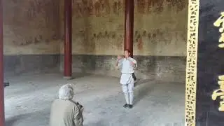 Shaolin Wu Xing Ba Fa Quan
