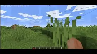 Pojavlauncher FPS test 1.16.5 (16 chunks)🔥 Beast performance #minecraft #fps #pojavalauncher #peace