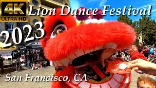 White Lotus /Portland/ SF&rsquo;s 2023 Chinatown Lion Dance Festival