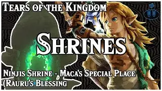 Unlocking The Ninjis Shrine Blessing: Maca's Special Place Solution - TOTK Shrines
