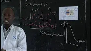Rwanda Education Board |S2| BIOLOGY | UNIT 4 LESSON  2  ACTIVE TRANSPORT