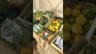 Сбор клубники в Британии на Pick your own fruit farms