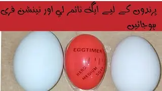 Birds k liye  Egg Boil Krny Key Liye Egg timer Lain or Tension Free Ho Jaen / Eggtimer