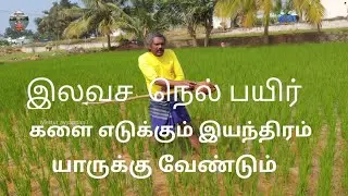 இலவச நெல் பயிர் கலை எடுக்கும் இயந்திரம் யாருக்கு வேண்டும்#metturayyappan1  ...
