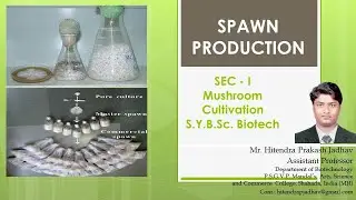 SEC I Spawn production, substrate, raw materials, The substrate preparation process