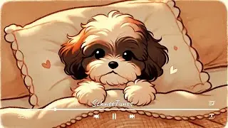 Relaxing Slow Tempo Music for Calming Pets | Cozy Sounds with Gentle Melodies