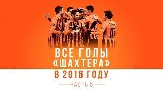Все голы Шахтера в 2016 году. Часть 5: Степаненко, Коваленко, Малышев и другие