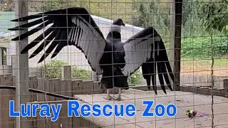 Luray Rescue Zoo