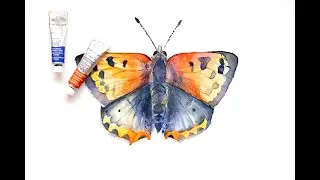 Kleine Vuurvlinder - online aquarel workshop -  Veronique Baur