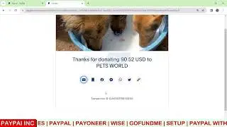 Guide to setting up a PayPal account for your nonprofit In Uganda, Kenya, Rwanda