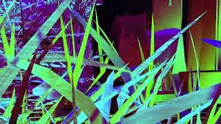 Low Poly Grass Alien World
