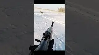 Deer Three shoot back to back #viral #hunting #session #wild #gameplay#short# viralvideo #shortvideo