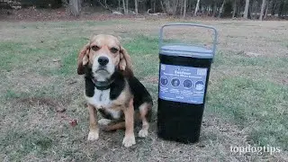 PetFusion Pet Waste Disposal Review
