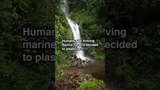 Humans Saw Thriving Marine Life And Decided To Pla